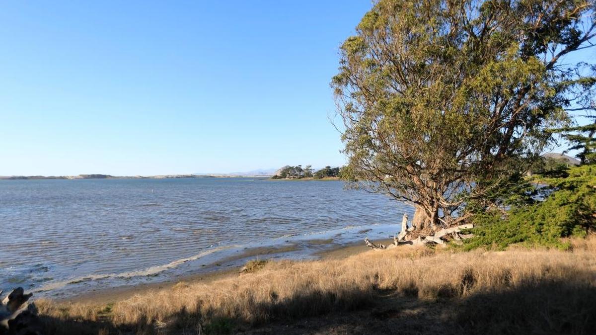 Learn about some of our planet’s seldom seen lifeforms in the Morro Bay Estuary.