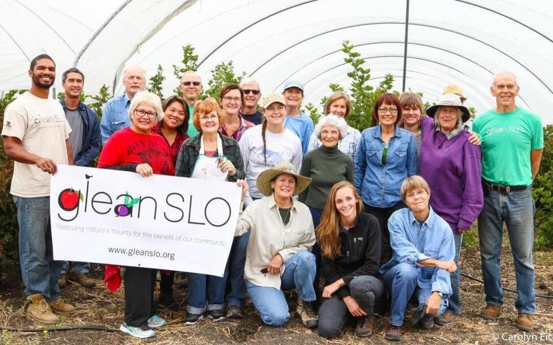 GleanSLO hit a milestone of gleaning 1 million pounds of produce harvested from farms and backyards to feed hungry families in the county. Pictured are volunteers for the program.