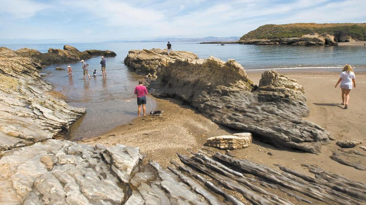 Beach goers check out the tide pools at the South end of Spooner’s Cove in Montana de Oro.