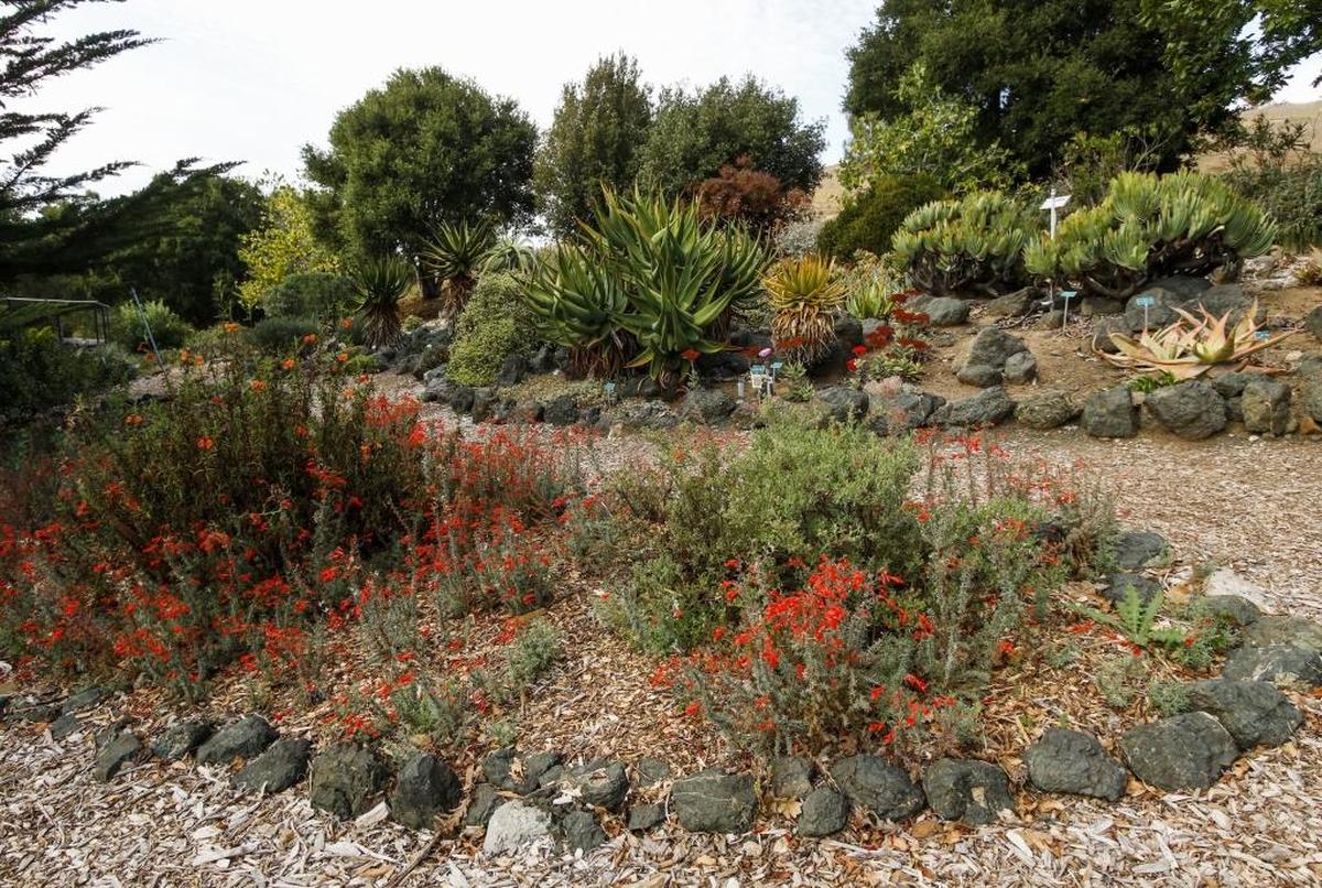 San Luis Obispo Botanical Garden.