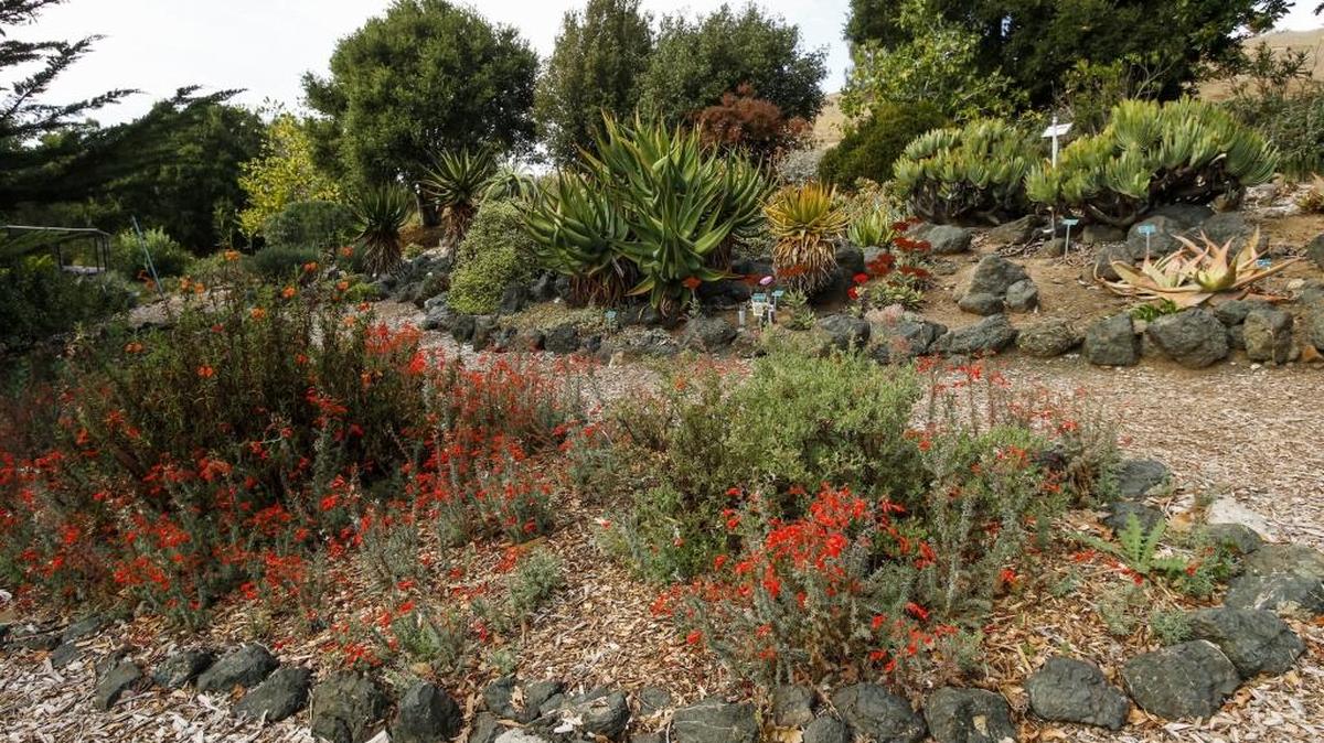 San Luis Obispo Botanical Garden.