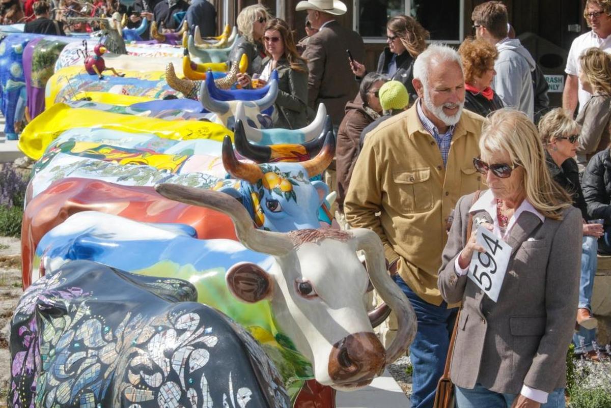 Rex and K.C. Swan of Templeton look over the cows before CowParade auction in May at the Oyster Ridge Barn at Ancient Peaks Winery in Santa Margarita Ranch.