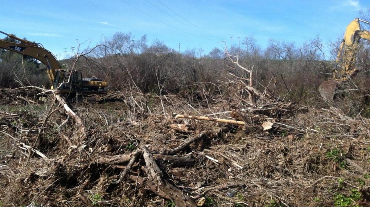 Debris removal begins Feb. 11 at the site of a logjam on San Simeon Creek. Excavators with buckets equipped with hydraulic thumbs picked up material, which was passed from one machine to another until it was deposited outside the tree line on CCSD well field property. From there, it was to be hauled off.