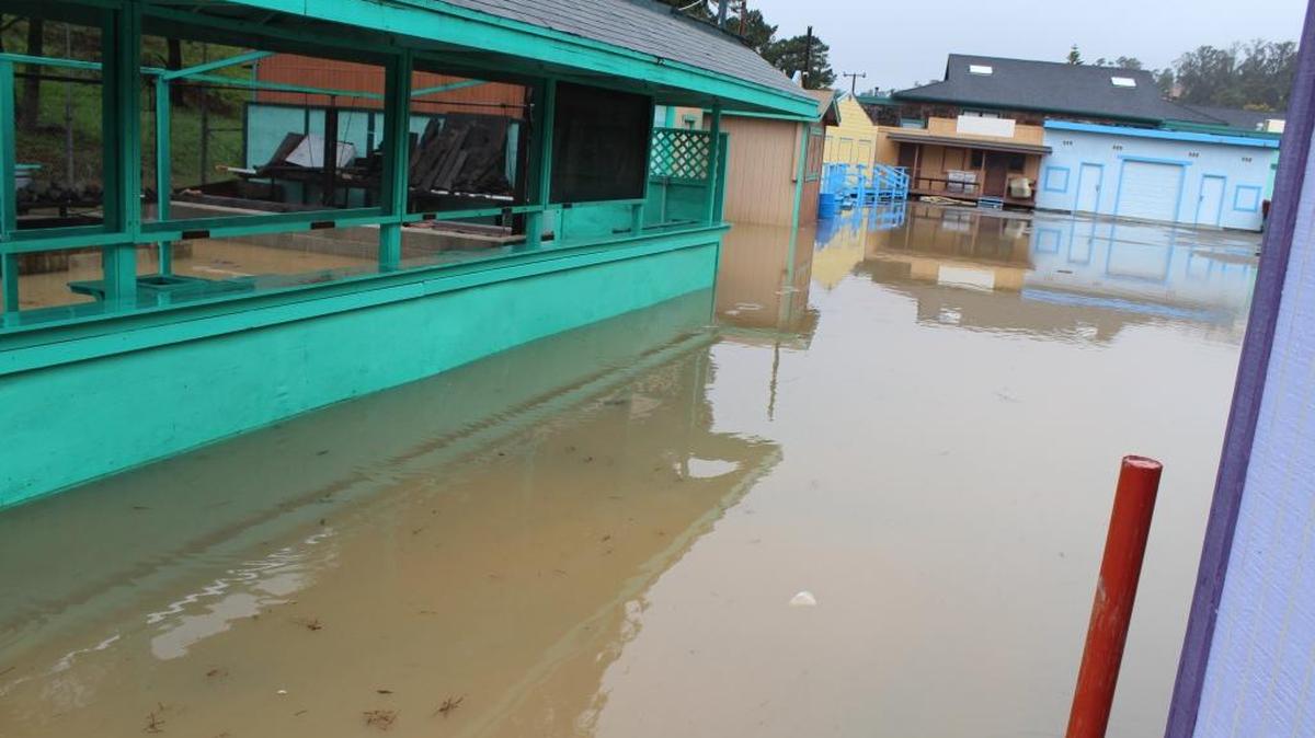 Water pools on the Pinedorado Grounds after heavy rains earlier this year.