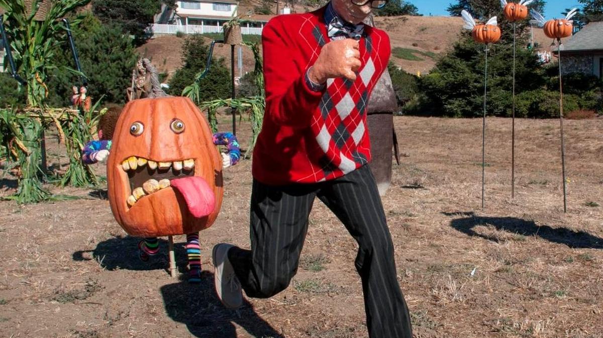 A scarecrow runs from fanciful new pumpkins in a large scarecrow installation on Cambria Drive between Highway 1 and Main Street.
