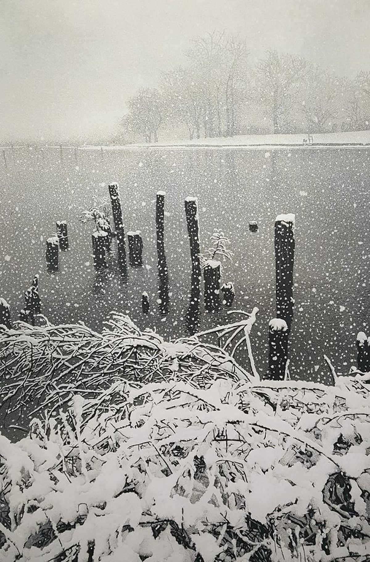 “January Snow” by Stephen McMillan.