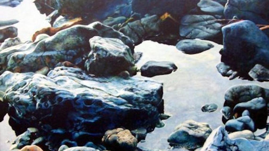 Artist Tom Gould gives us ‘what we want to believe’