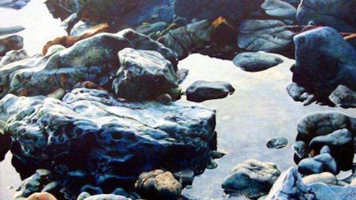 “Tidepools” by Tom Gould