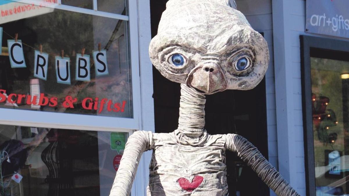 E.T. was an award-winning scarecrow. You can learn how to build one of your own.