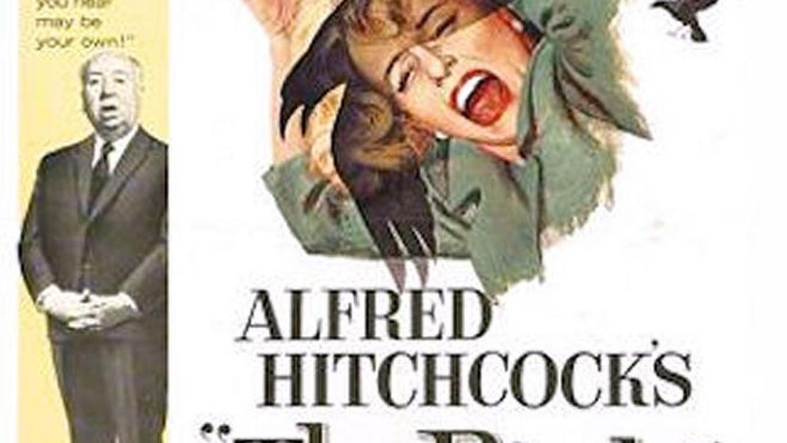 Beautify Cambria’s Pinedorado fundraiser is for ‘The Birds’