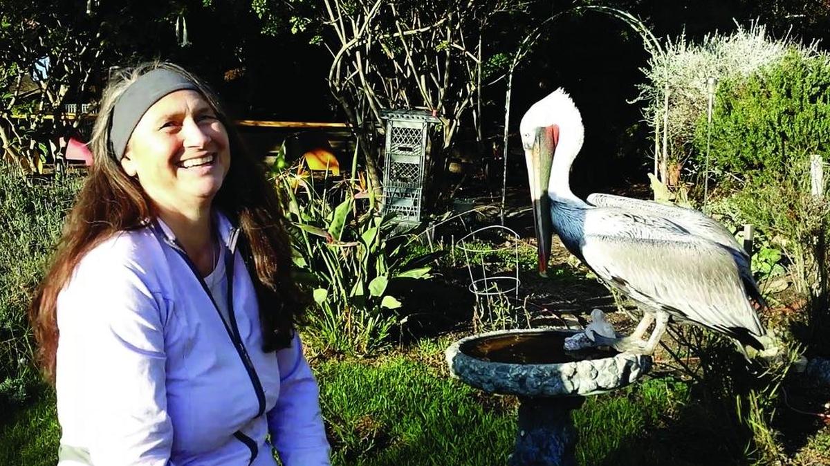 Dani Nicholson of Cayucos with Morro the Pelican in 2014.