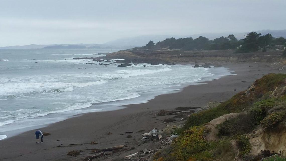 Central Coast seasons are there if you know how to look for them