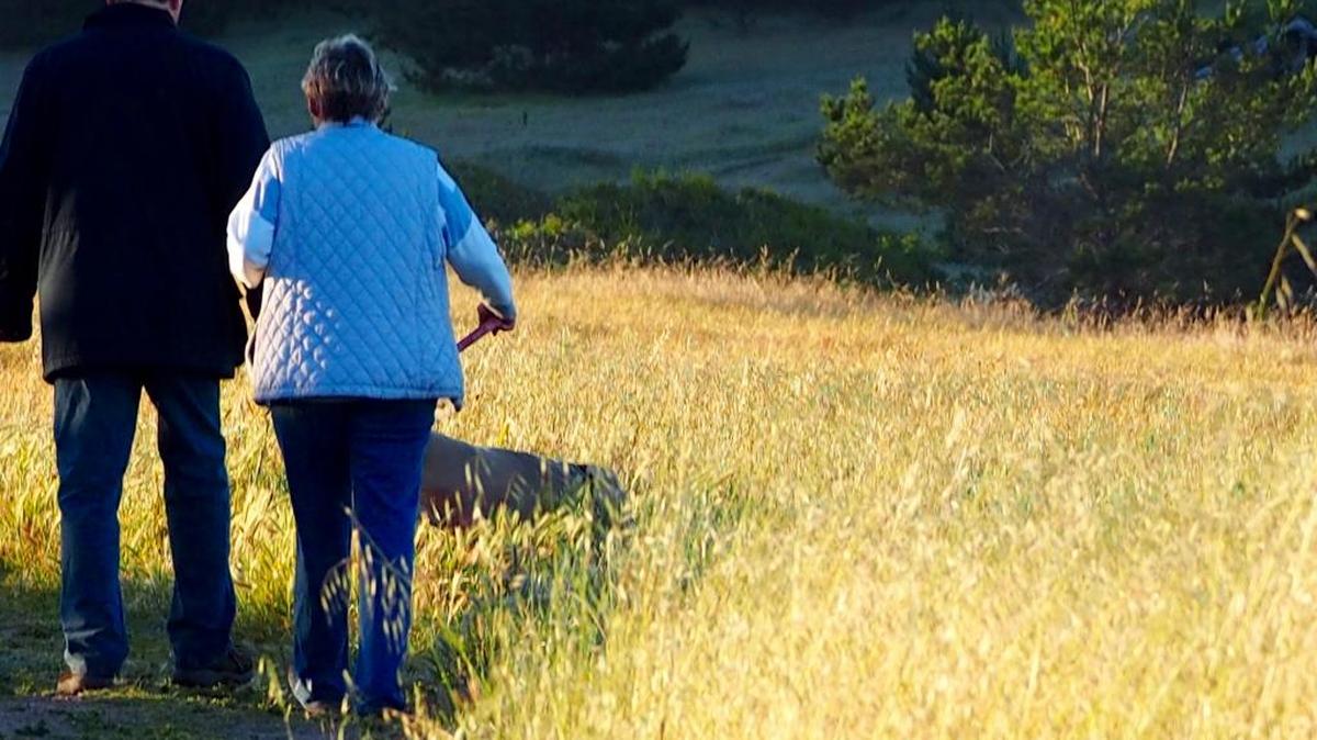Walking on the Fiscalini Ranch Preserve.