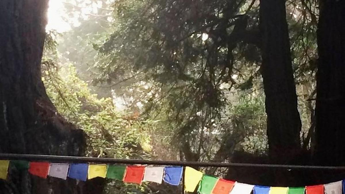On a path at the outer edges of Esalen in Big Sur, the columnist resolves to reflect on her own words more frequently and to continue meditating on guidance.