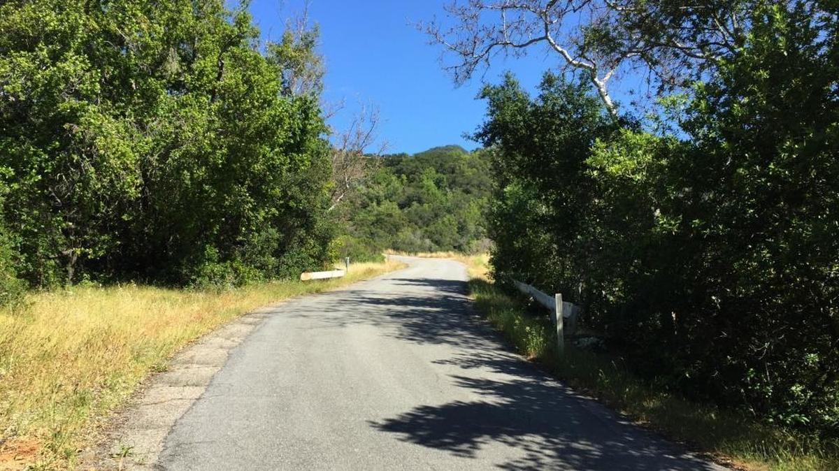 This scene is typical of what you’ll find along Santa Rosa Creek Road between Cambria’s Main Street and Green Valley Road (Highway 46).