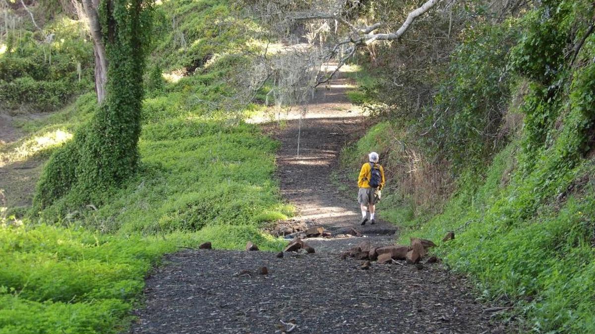 Following the rains, the Santa Rosa Creek Trail offered the rushing roar of a creek turned into a river.