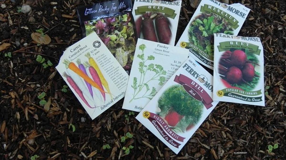 Cool-season crops can be planted now. Use leftover seeds and enjoy winter and early-spring crops.