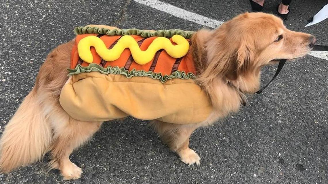 Cambrian letters to the editor, Feb. 1, 2018