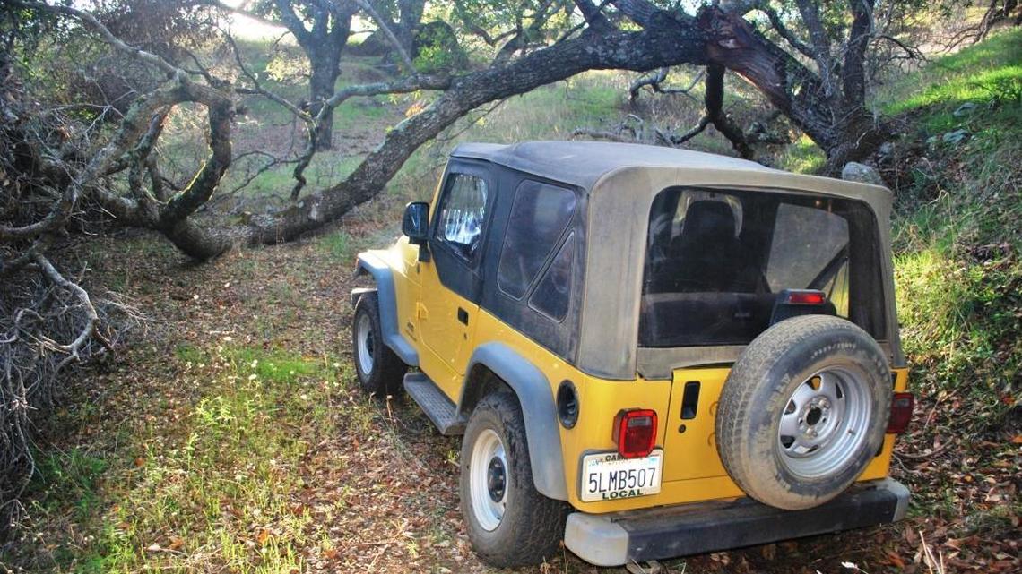 Trees make mountains messy, chain saws necessary