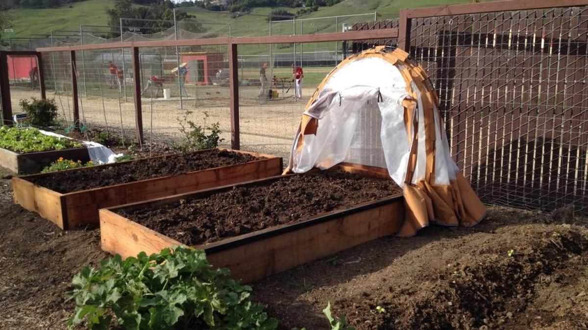 Wooden planters at the Coast Union garden are lined up alongside batting cages for the baseball field.