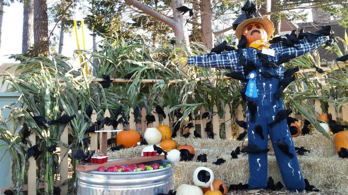 This is how crows usually respond to a scarecrow. This one is besieged by them in “150 Not So Scary Crows” at the J. Patrick House in Cambria.