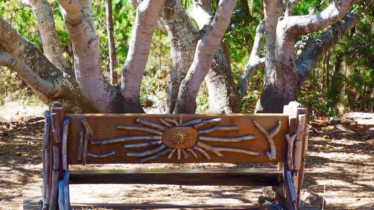 A bench at Fiscalini Ranch Preserve bench created by Richard Lee.