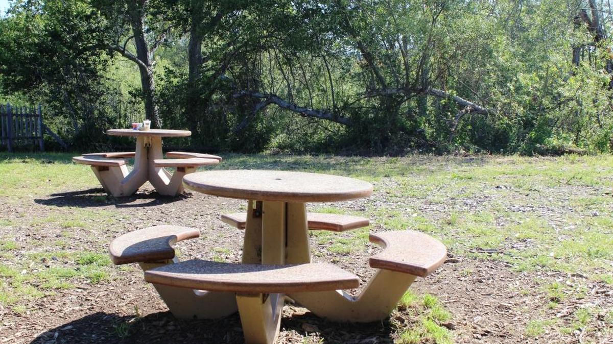 Vandals disturbed these tables at the pocket park, often a gathering place for homeless individuals at the end of Bridge Street, near the Post Office.