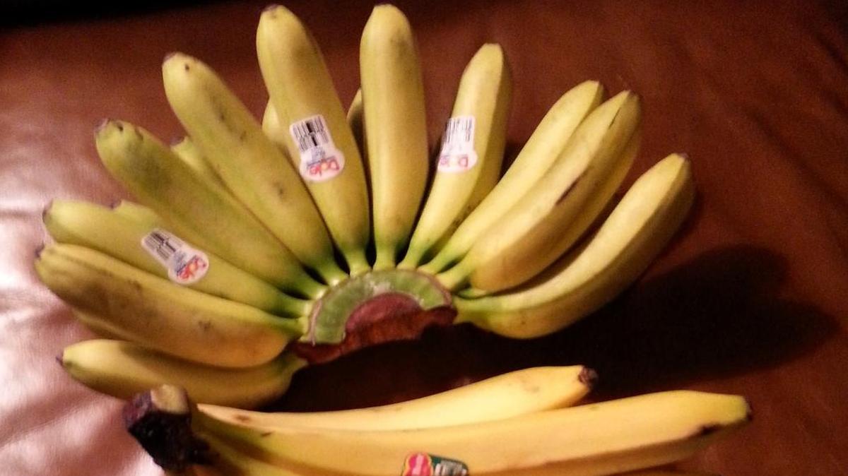 Ecuadorian bananas have become available in some markets, half the size of regular ones and twice as tasty!