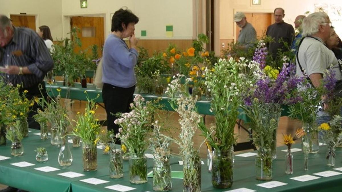 People enjoy the sights at a recent Cambria Wildflower Show.