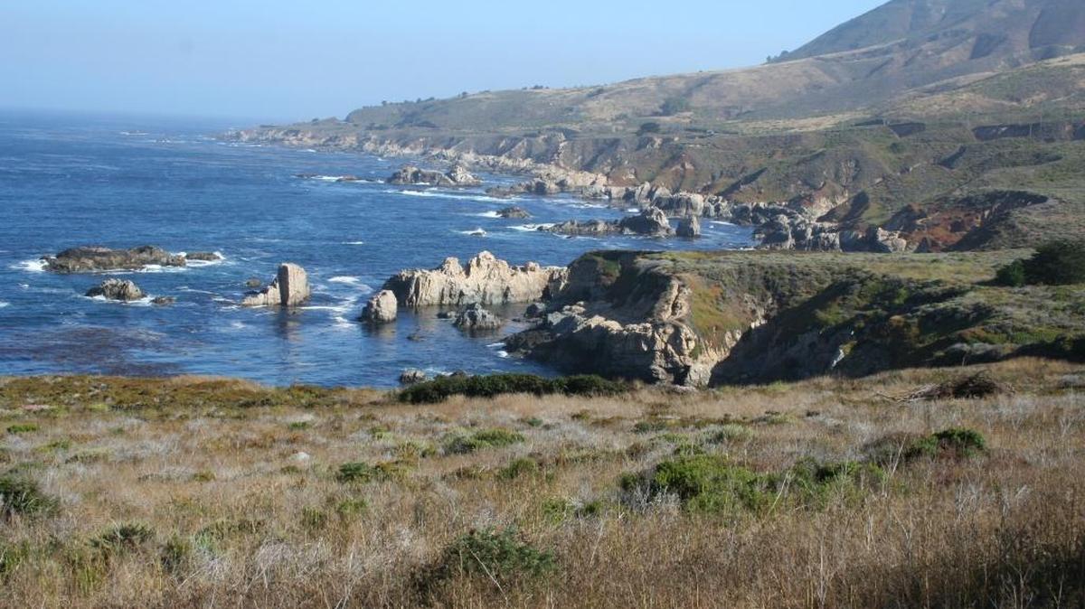 The coastline of California has been protected quite well for 40 years by the Coastal Commission. Will that change now that the conservation-minded executive director has been fired?