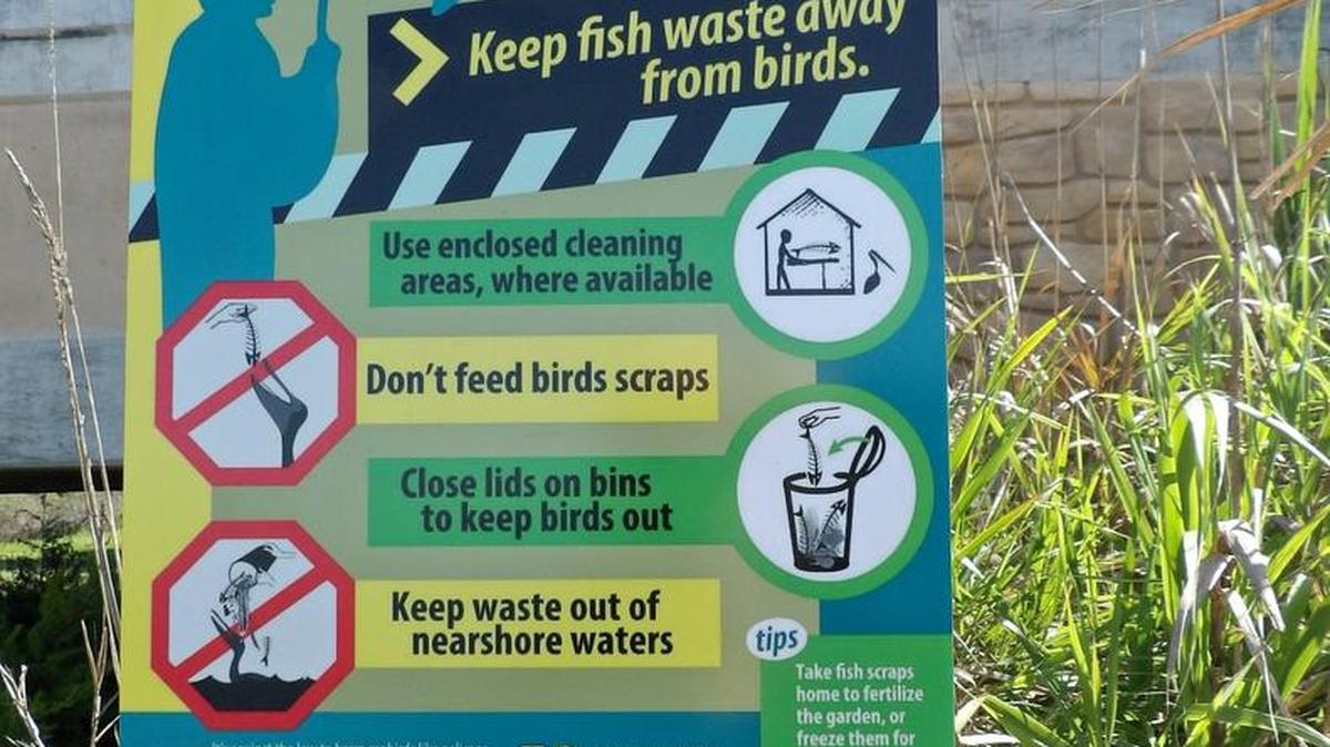 A steel sign on the Leffingwell ramp railing asks anglers to be responsible with fish waste.