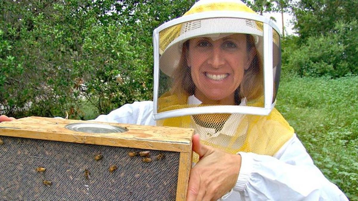 Katie Metzger doing what she loves to do: playing with bees on Oahu, Hawaii.