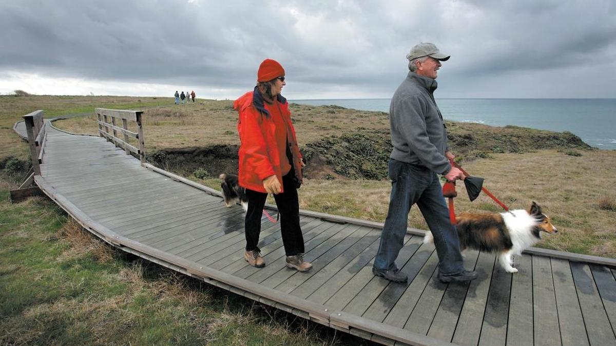 Pedestrians walk their dogs on the Fiscalini Ranch Preserve Bluff Trail in 2007