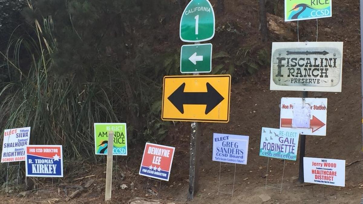 Campaign signs compete for attention on Burton Drive.
