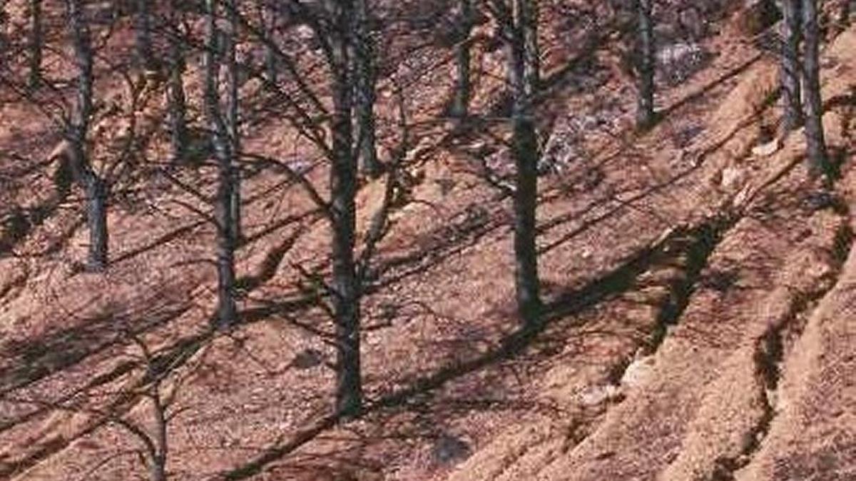 Post-fire erosion is seen on a hillside in 1996 after a fire near Buffalo Creek, Colorado, southwest of Denver.
