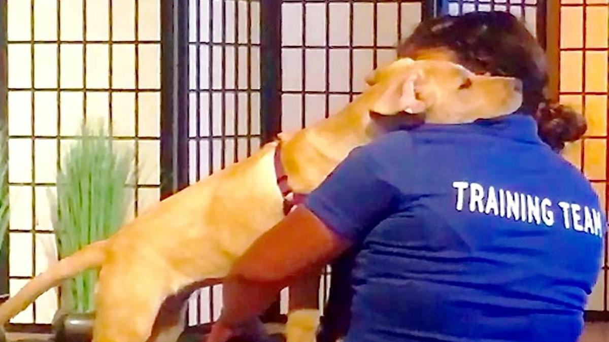 Rosa Mendoza, with a pup in training, demonstrates a calming technique used by the dog when a veteran begins to feel anxiety or anger.