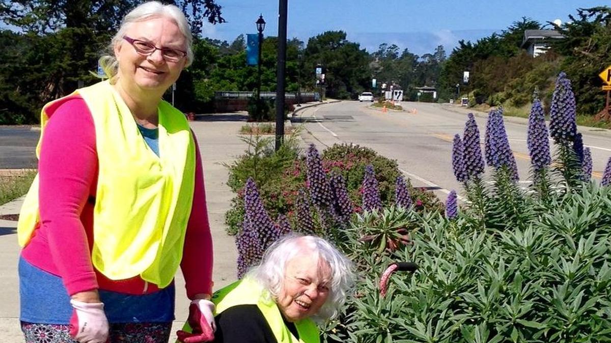 Jan Boughter, left, and Lynn Greene weed the median strips and sidewalk landscaping in Cambria.
