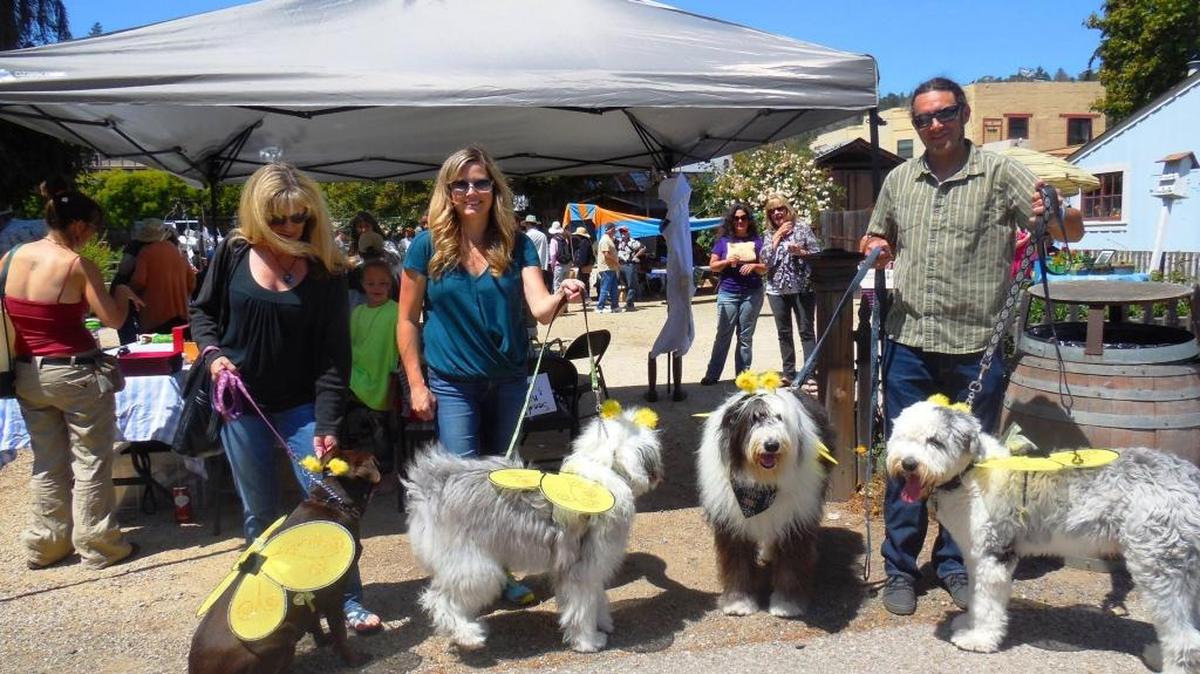 Maddie Mae paraded with two-footed and four footed friends as bees last year.