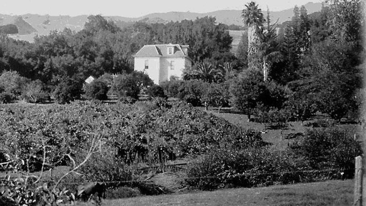 The Lehman house, with its 10-foot ceilings, was the site of Soto family Christmas gatherings during the 1920s.