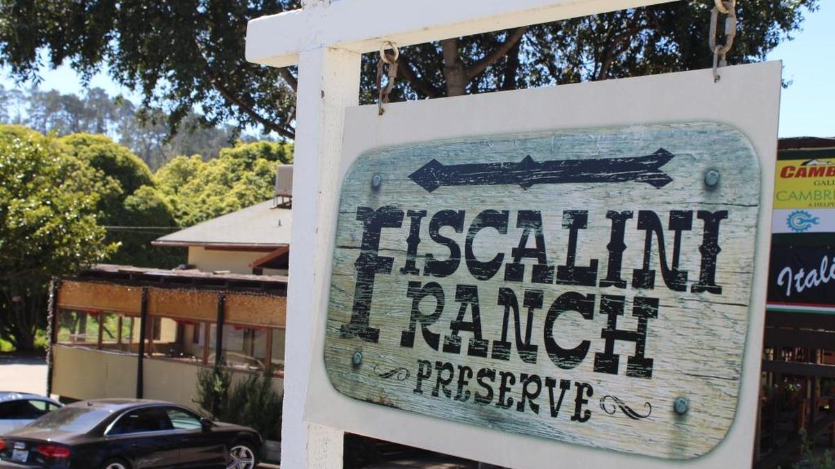 Sarah Bisbing, an assistant professor at Cal Poly, will lead a walk on the Fiscalini Ranch Preserve.
