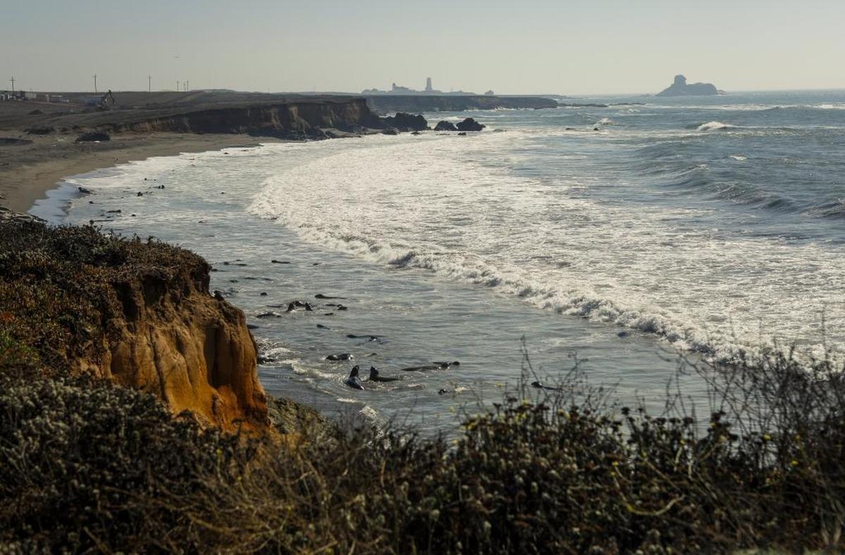 The State Parks has a plan for a scenic stretch of Highway 1 near Piedras Blancas, like this area south of the of the Piedras Blancas Motel, which has views of the Piedras Blancas Light Station.