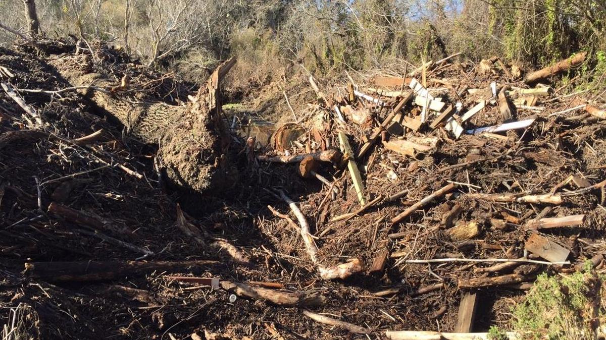 This photo taken Jan. 23 shows the logjam at the base of the San Simeon Creek well field.