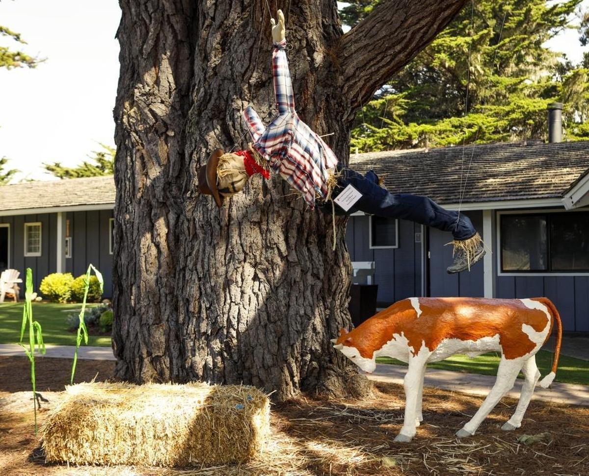 A new batch of Scarecrows have cropped up for the annual Cambria Scarecrow Festival.