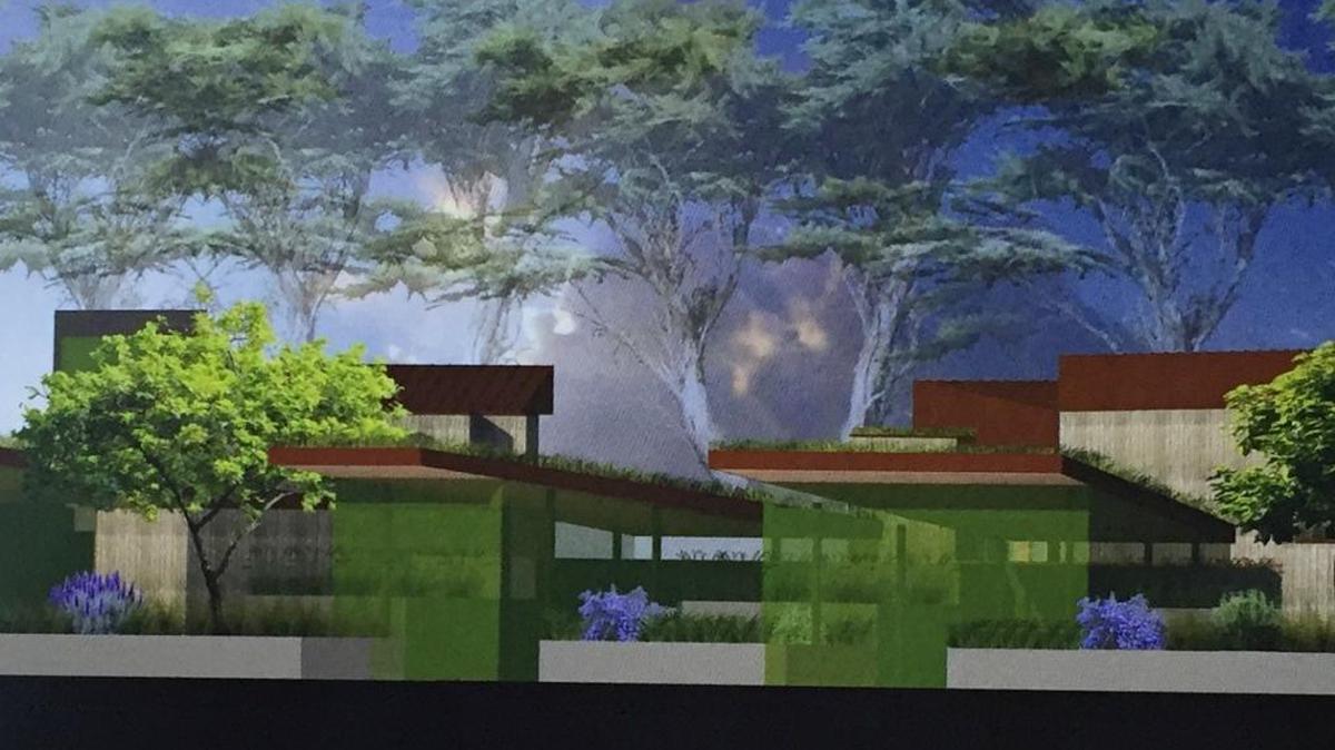 A rendering shows a portion of the proposed Ragged Point project.