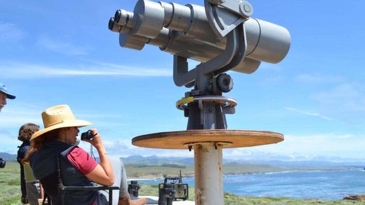 Victoria Pease has binoculars and long-distance lenses at her disposal as she scans the ocean for signs of migrating gray whales April 21 at Point Piedras Blancas.