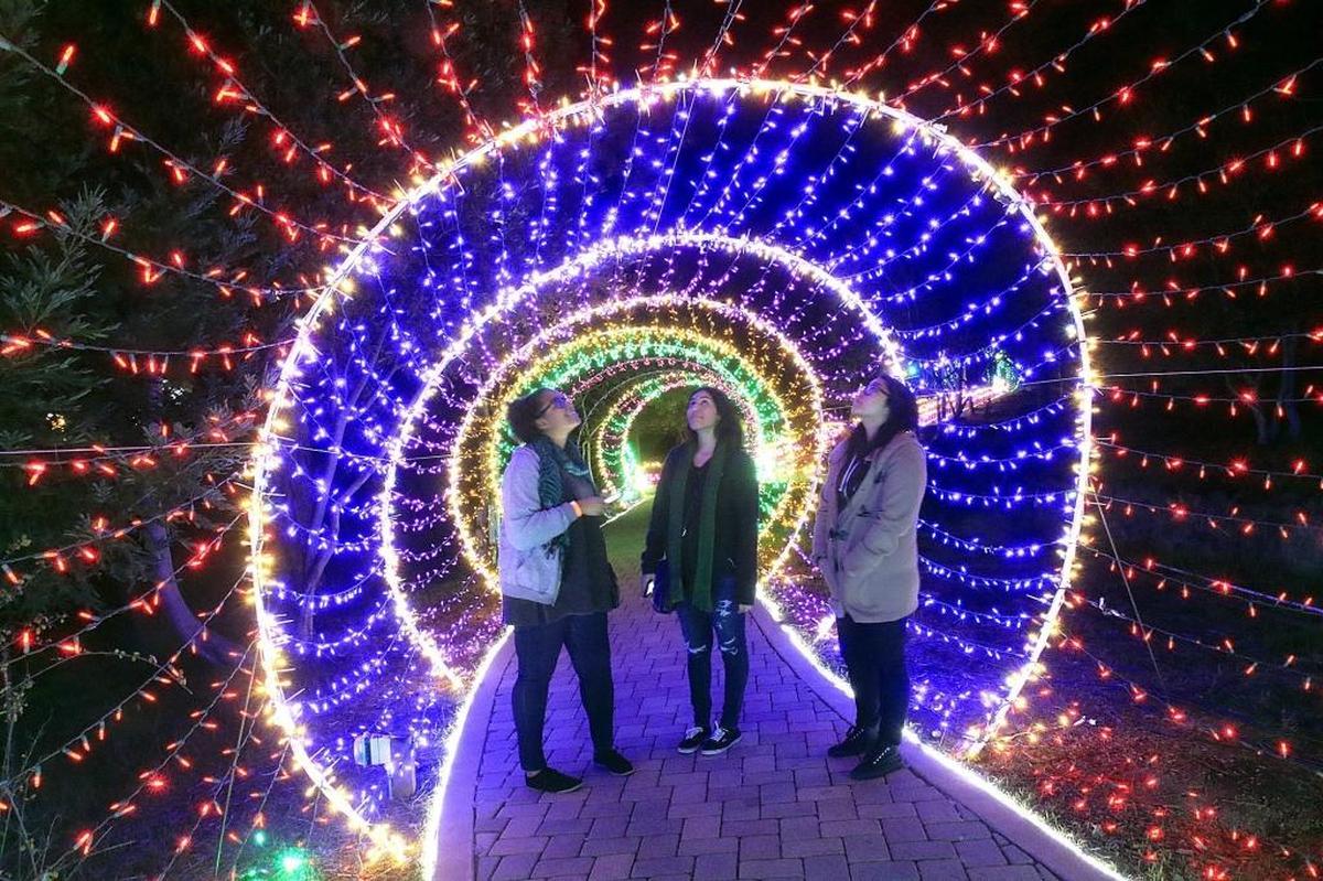 Visitors take in the light tunnel, one of the highlights of the annual Cambria Christmas Market.