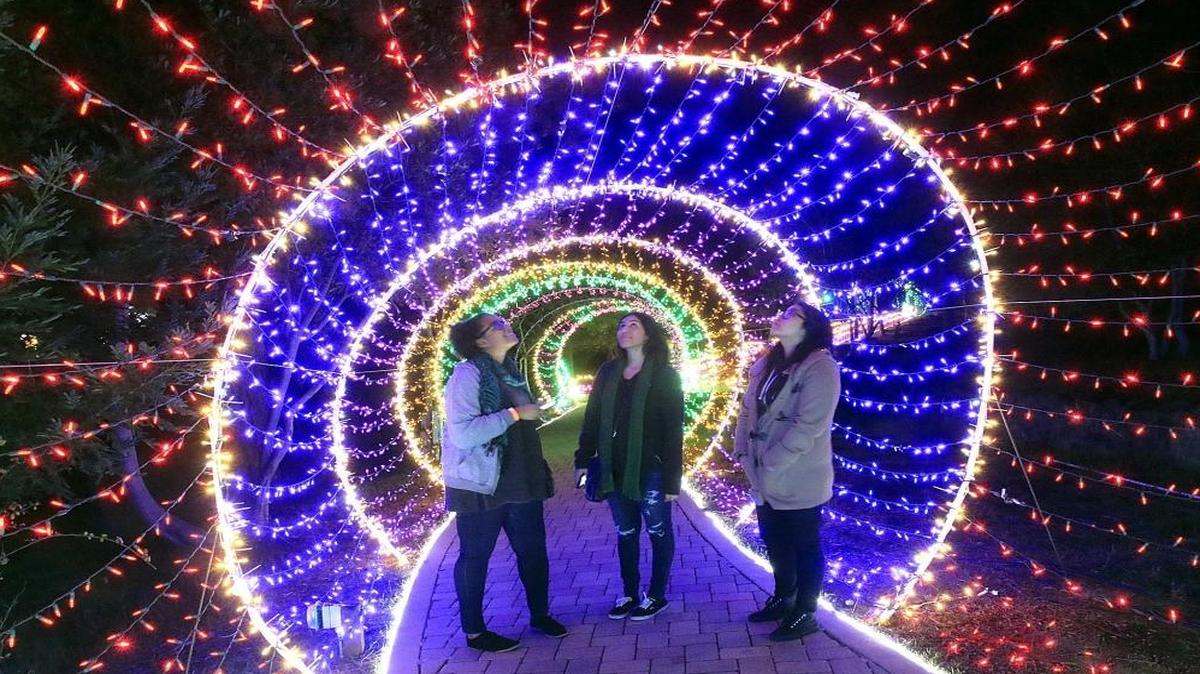 Visitors take in the light tunnel, one of the highlights of the annual Cambria Christmas Market.