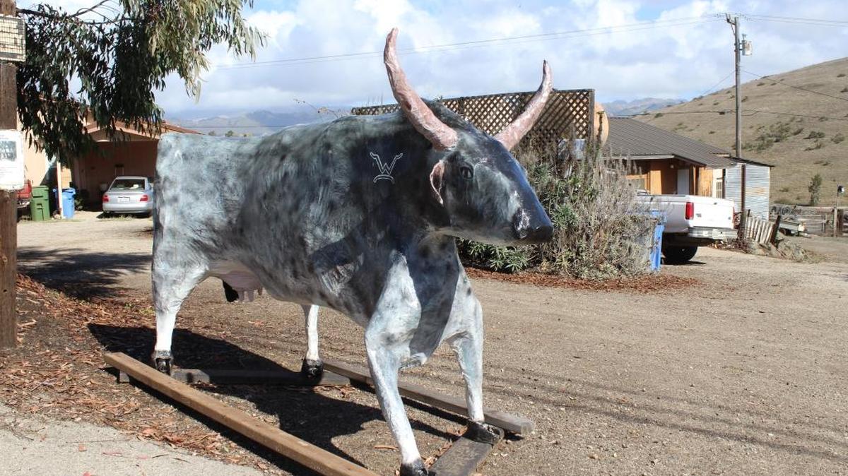 This “scare-cow” appeared as if out of nowhere in Cambria resident Walter Fitzhugh’s front yard one day.