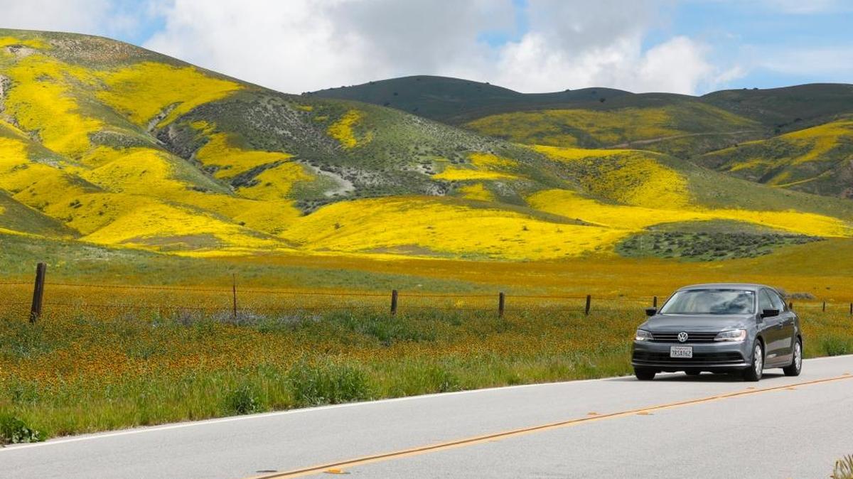 Flowers cover the Temblor Range near Carrizo Plain off Highway 58 near Seven Mile Road in this March 26 photo.