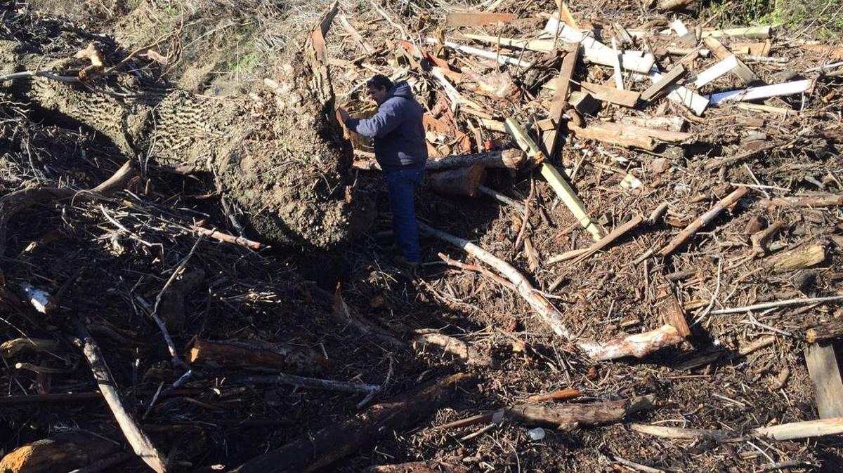 Delon Blackburn inspects a logjam that formed at the base of the San Simeon Creek well field. This photo was taken Saturday, Jan. 23.